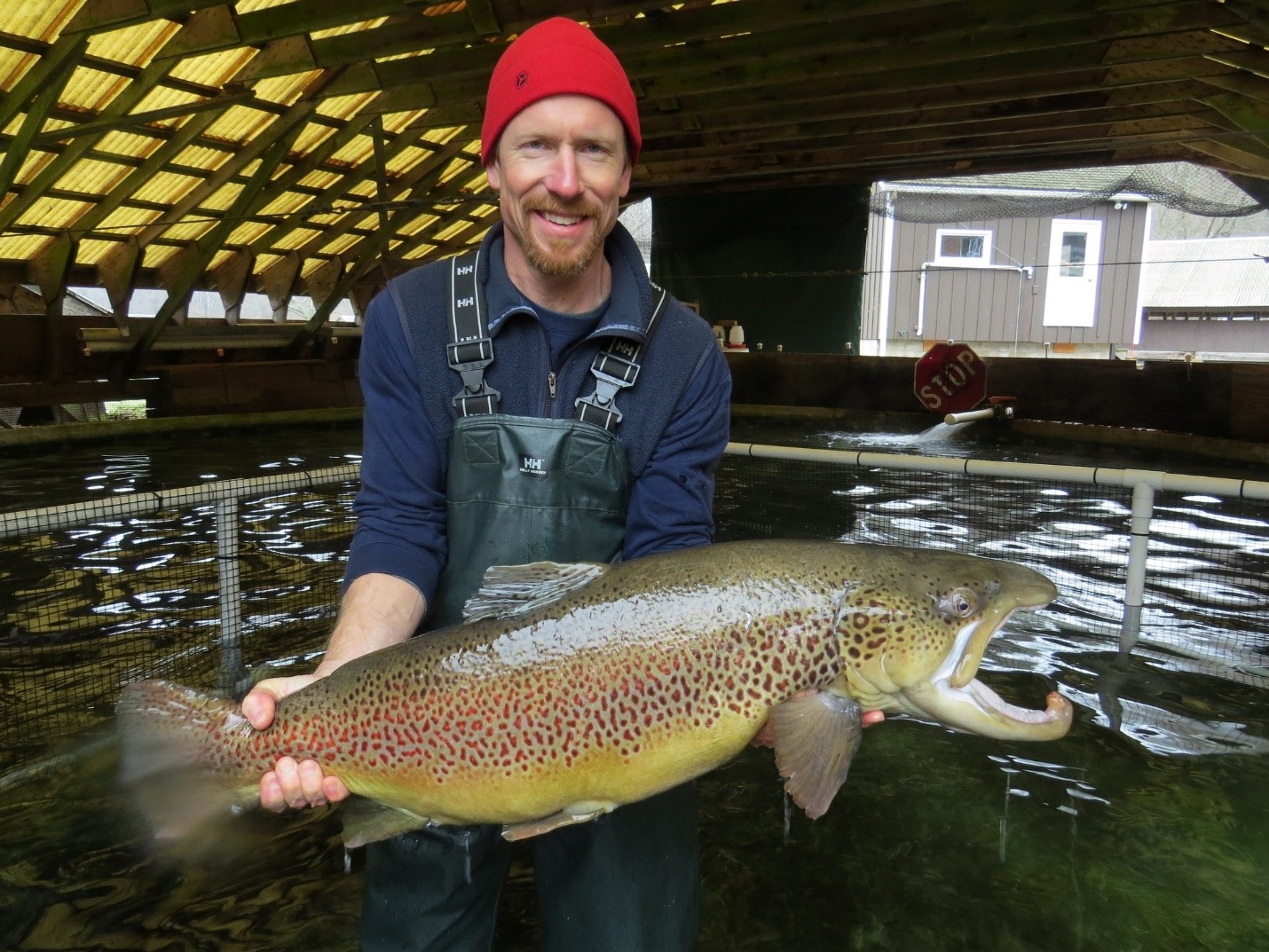 Job Opening Fish Hatchery Supervisor 1 (35 Hour) Department of